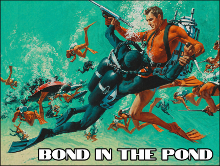 Thunderball Power-Pack Scuba Sculpt